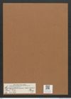 Campylodiscus eximius Greg. (de-Toni-Nr.: Genus 57, Species 2507) Zeichnungen Sammlung Grunow Mappe 02669 (Herbarium_W_Grunow_drawings_Folder_02669)
